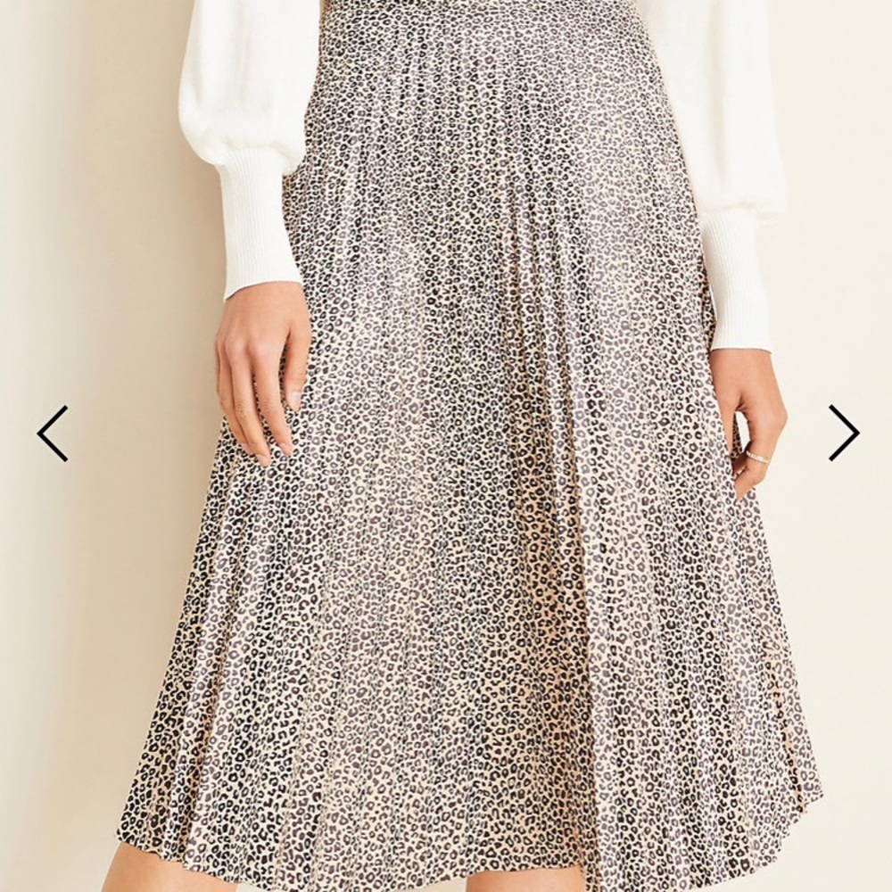Ann Taylor Pleated Skirt